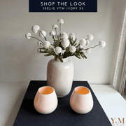 Speciaal voor de stijl liefhebber. Het is écht een set welke je niet zomaar bij iedereen thuis zal vinden. Deze Vase The World Artic vaas & Tasman windlicht set is gemaakt van de serie Ivory.