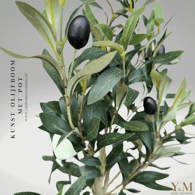 KUNST OLIJFBOOM Trend van nú. Geef je interieur een schitterende uitstraling met deze elegante, stijlvolle olijfboom! Een olijf bonsai boom met vertakkingen, groene bladeren en zwarte olijven eraan. Deze olijfbomen zijn van uitstekende kwaliteit, zien er prachtig uit in elke ruimte. Geeft een mediterrane sfeer.