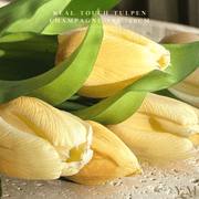 Hoog kwaliteit kunst Tulpen bos van 7st. 30cm Champagne. Maak jouw vaas compleet met mooie Real Touch Tulpen (Tulips). Zijden | Kunst bloemen - Shop bij Y&M Home Creations