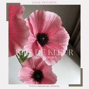 Zijden Bloem SET  -  DE KLAPPER - Hoog kwaliteit Zijdenbloem Klaproos, Silk Flowers, Kunstbloem met vaas & kaarsenhouder.