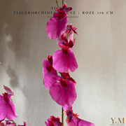Zijden Tak - Tijgerorchidee Mauve | Roze 118cm Silk-Ka