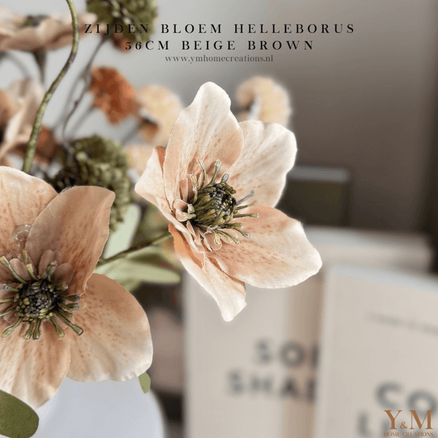 Zijden Helleborus bloem in beige-taupe van 56 cm – decoratieve kunstbloem voor interieur, perfect te combineren met PomPom takken.
