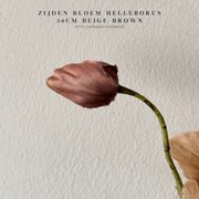 Zijden Helleborus bloem in beige-taupe van 56 cm – decoratieve kunstbloem voor interieur, perfect te combineren met PomPom takken.