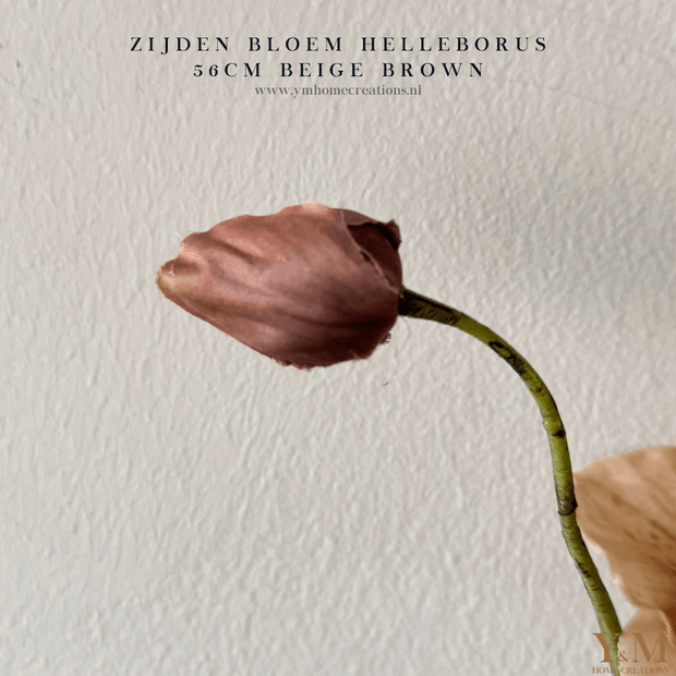 Zijden Helleborus bloem in beige-taupe van 56 cm – decoratieve kunstbloem voor interieur, perfect te combineren met PomPom takken.