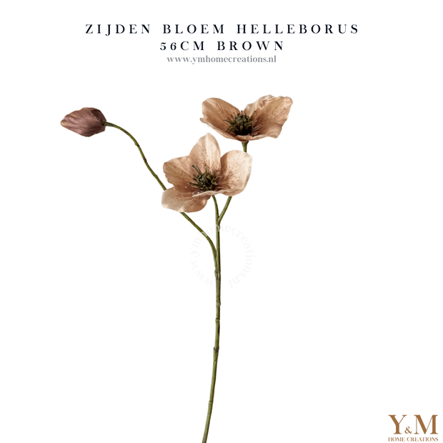 Zijden Helleborus bloem in beige-taupe van 56 cm – decoratieve kunstbloem voor interieur, perfect te combineren met PomPom takken.
