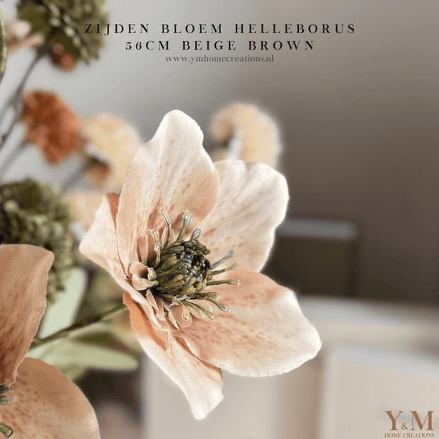 Zijden Helleborus bloem in beige-taupe van 56 cm – decoratieve kunstbloem voor interieur, perfect te combineren met PomPom takken.