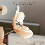 Zijden Helleborus bloem in beige-taupe van 56 cm – decoratieve kunstbloem voor interieur, perfect te combineren met PomPom takken.