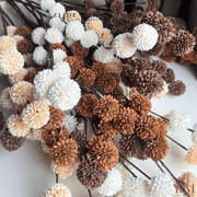 🌸 Op zoek naar een stijlvolle eyecatcher voor je interieur? Deze zijden tak met zachte PomPoms geeft je woonkamer, hal of slaapkamer direct een luxe en romantische uitstraling. 🌿
💖 Levensecht, buigbaar en onderhoudsvrij – gewoon perfect in elke vaas! 🛒 Shop nu en fleur je interieur op zonder gedoe met echte bloemen!
