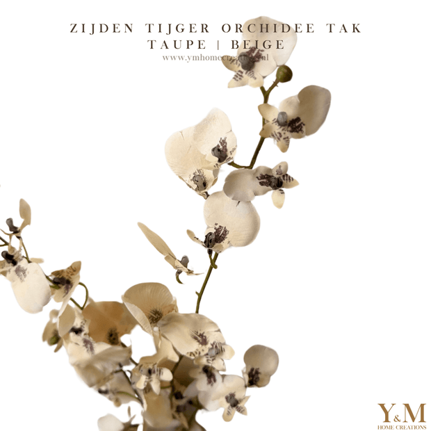 ZIJDEN TIJGER ORHCIDEE | ONCIDIUM TAK TAUPE | BEIGE. Laat je interieur shinen met deze prachtige, stijlvolle takken! Shop jouw silkflowers bij Y&M Home Creations