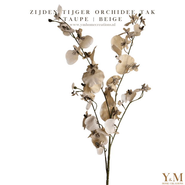 ZIJDEN TIJGER ORHCIDEE | ONCIDIUM TAK TAUPE | BEIGE. Laat je interieur shinen met deze prachtige, stijlvolle takken! Shop jouw silkflowers bij Y&M Home Creations