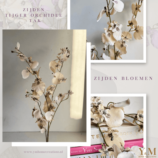 ZIJDEN TIJGER ORHCIDEE | ONCIDIUM TAK TAUPE | BEIGE. Laat je interieur shinen met deze prachtige, stijlvolle takken! Shop jouw silkflowers bij Y&M Home Creations