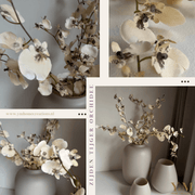 ZIJDEN TIJGER ORHCIDEE | ONCIDIUM TAK TAUPE | BEIGE. Laat je interieur shinen met deze prachtige, stijlvolle takken! Shop jouw silkflowers bij Y&M Home Creations