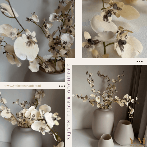 ZIJDEN TIJGER ORHCIDEE | ONCIDIUM TAK TAUPE | BEIGE. Laat je interieur shinen met deze prachtige, stijlvolle takken! Shop jouw silkflowers bij Y&M Home Creations