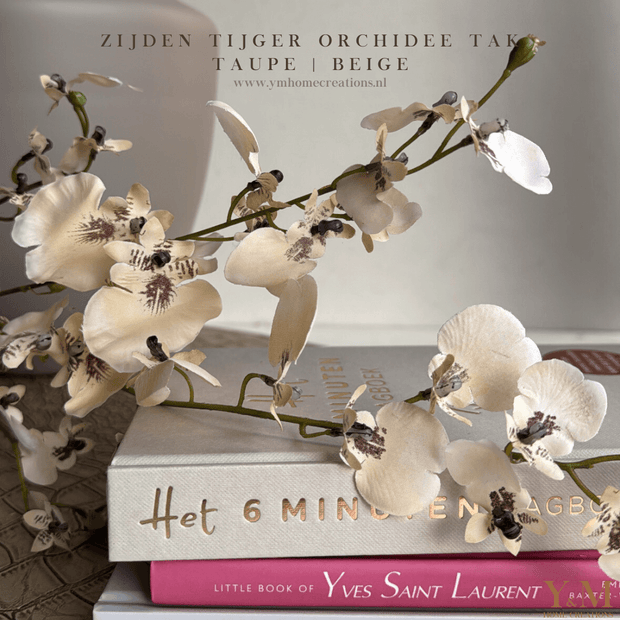 ZIJDEN TIJGER ORHCIDEE | ONCIDIUM TAK TAUPE | BEIGE. Laat je interieur shinen met deze prachtige, stijlvolle takken! Shop jouw silkflowers bij Y&M Home Creations