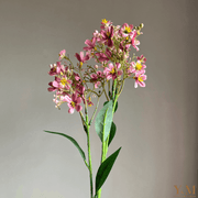 Zijden Bloem, Tak -  Daphne Oud Roze 72cm - Hoog kwaliteit Zijdenbloemen, Silk Flowers, Kunstbloemen. Zijn niet meer weg te denken in je interieur 